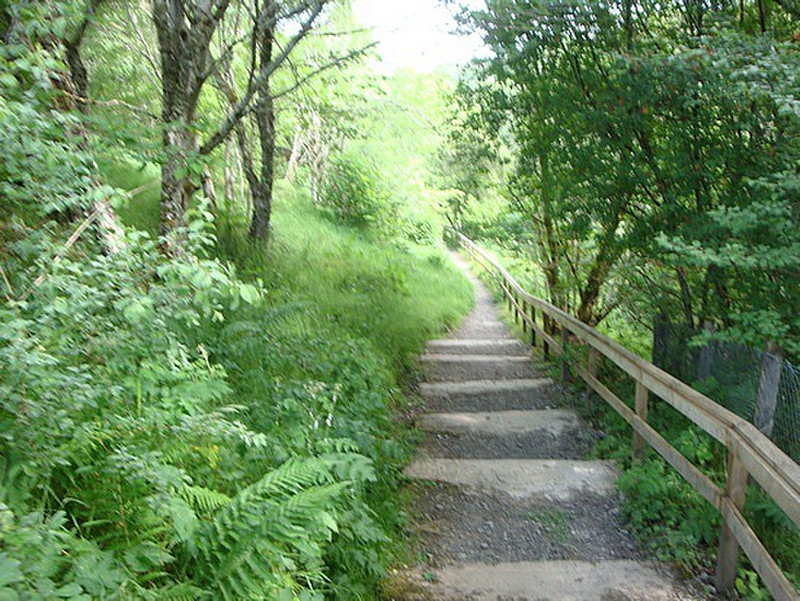 Trail to Shin Falls