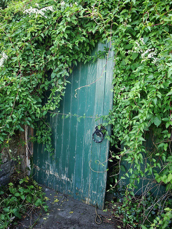 A garden door in Cong, County Mayo, Ireland