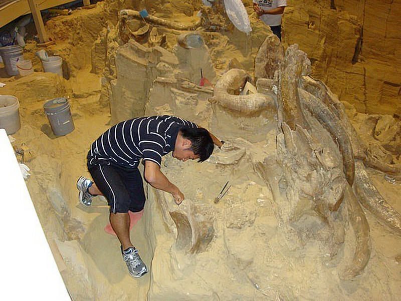The Mammoth Site paleontologit