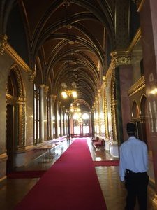Hungarian Parliament Building (74)