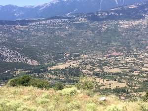 Thermopylae to Delphi (7)
