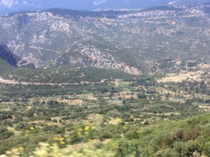 Thermopylae to Delphi (9)