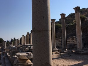 Ephesus (238)