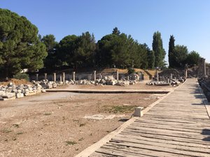 Ephesus (242)