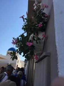Oia, Santorini (46)