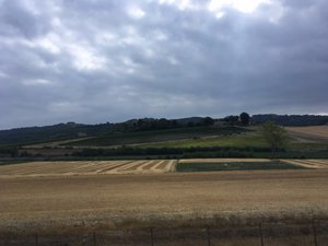 Rome to Florence (29)