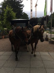 Carriage ride and farm visit in Engelberg (1)