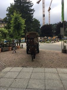 Carriage ride and farm visit in Engelberg (2)