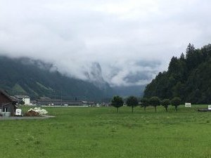 Carriage ride and farm visit in Engelberg (15)