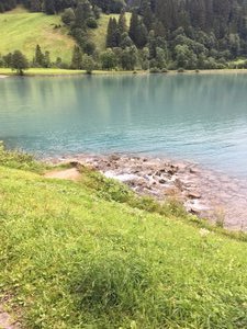 Carriage ride and farm visit in Engelberg (40)