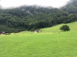 Engelberg to Lucerne (14)