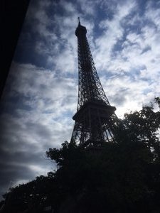 Paris by bus (1)