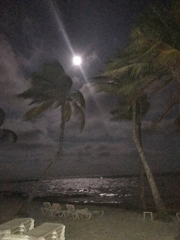 Full Moon over Ocean Waters