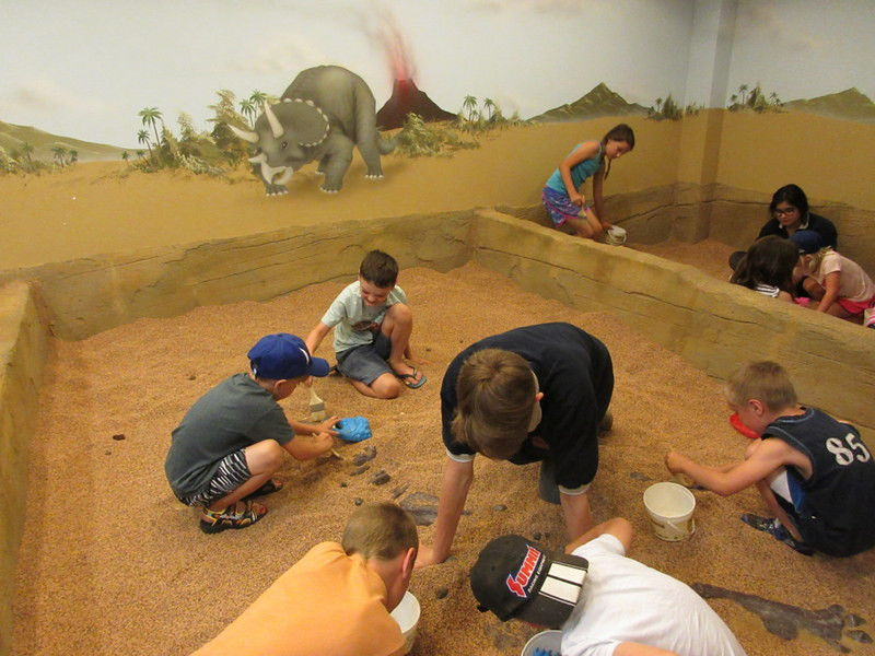 Digging for Fossils