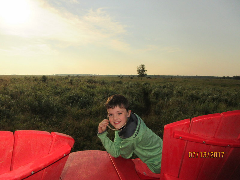 Finley Watching Bison