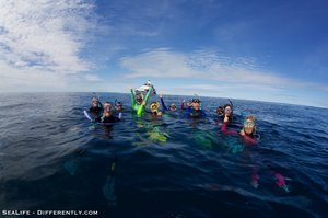 Coral Bay - Whale Shark Tour 11