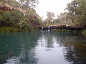 Karijini - Dales Gorge - Fern Pool
