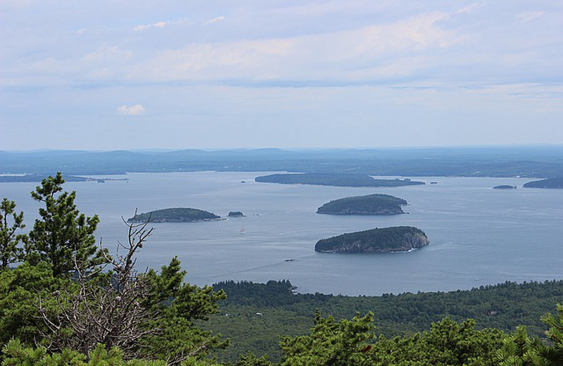Picture from Dorr Mountain