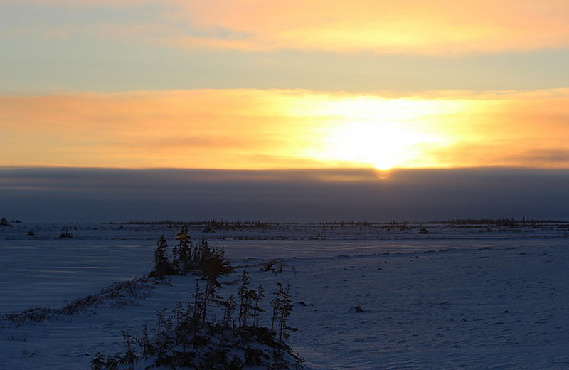 Sunrise on the tundra
