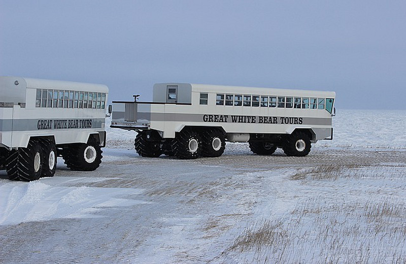 Tundra Rovers