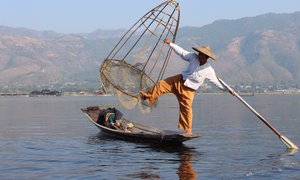 Basket fisherman