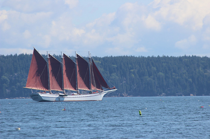 Red Sails 