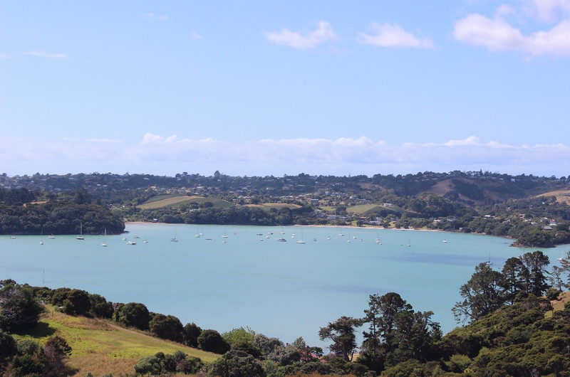 View from Te Whau Vineyard