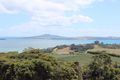 The view from Mudbrick 