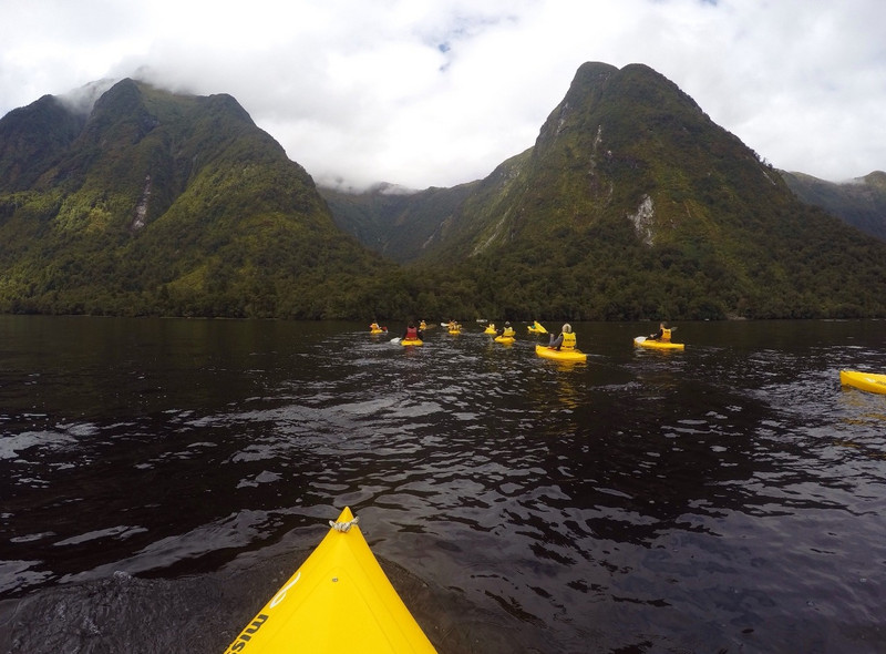 Kayaking in the fiords