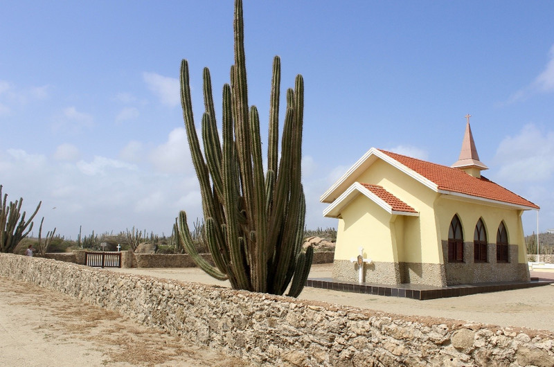 Church and cactus
