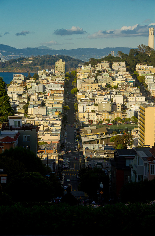 From the top of Lombard St