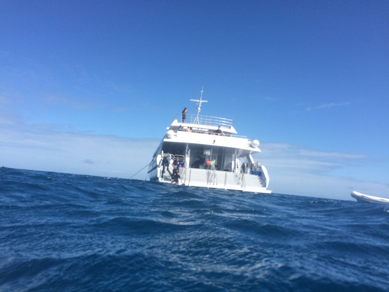 Our dive boat..shame we havent got any under water photos..