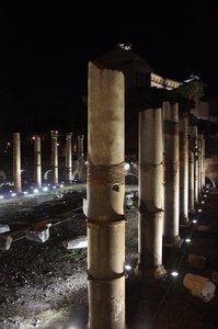 24 Columns