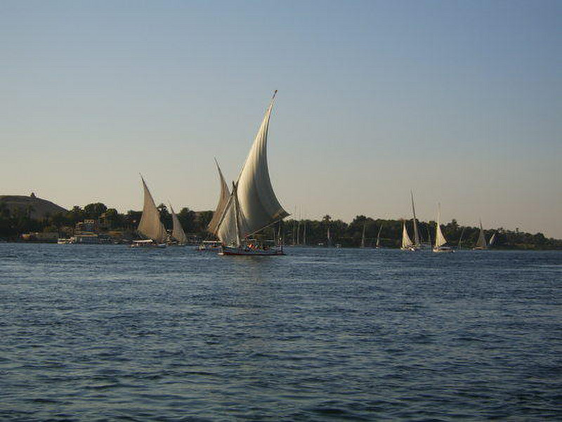 02 Felucca&#39;s on the Nile
