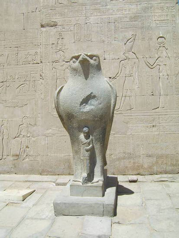 11 Horus
