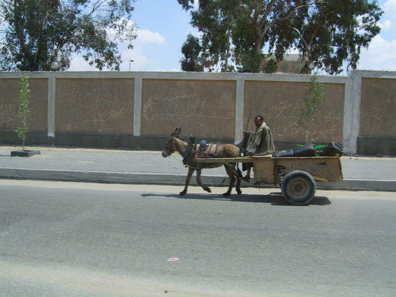 03 Donkey and cart