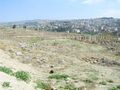 12 Jerash
