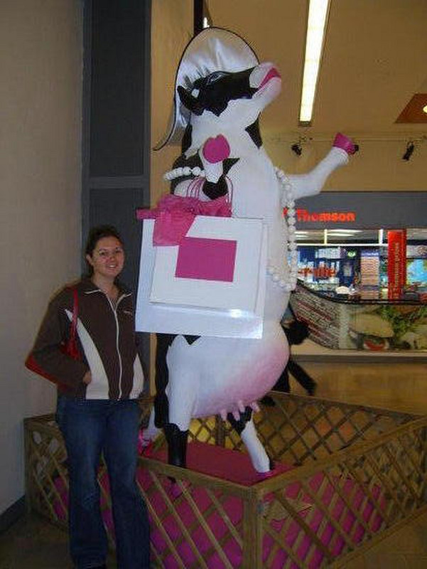 18 Shopping cow