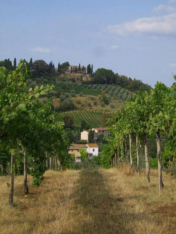 21 Tuscan views