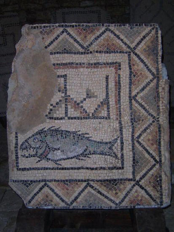 06 Fish mosaic