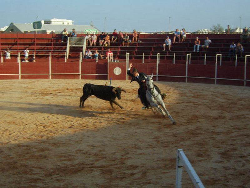 29 Female bullfighter