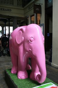 28 Pink Elephant