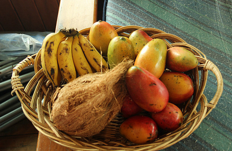 13 Tropical Fruit