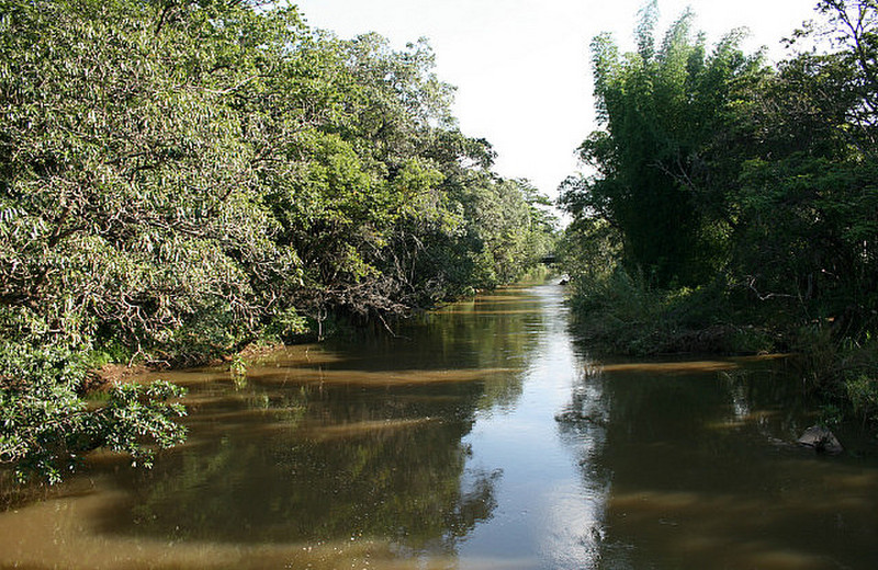26 Crocodile River