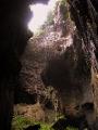 Gomantong Cave