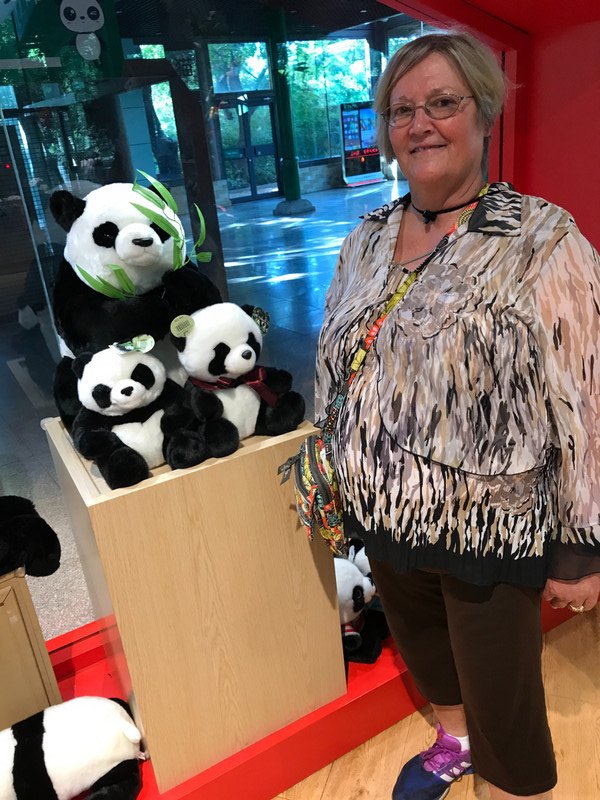 Susie and panda bears