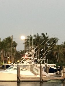 Full Moon in Lake Sylvia