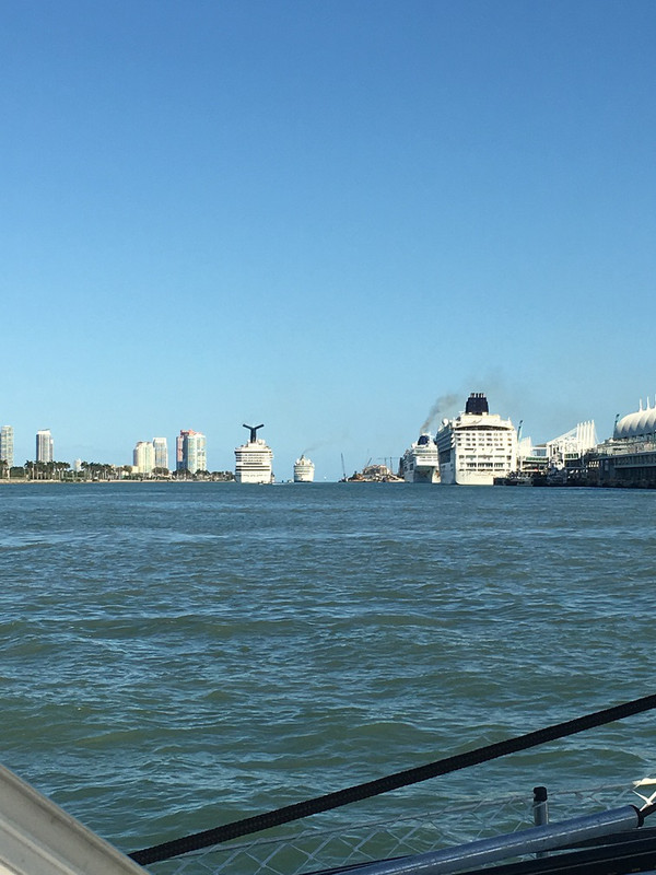 Cruise ships at dock and some headed out at the port of Miami