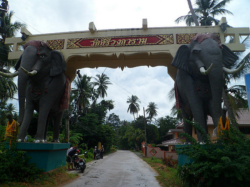 Elephant bridge