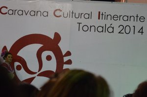 Tonal&aacute; cultural program